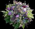 fleurs et nature (21)